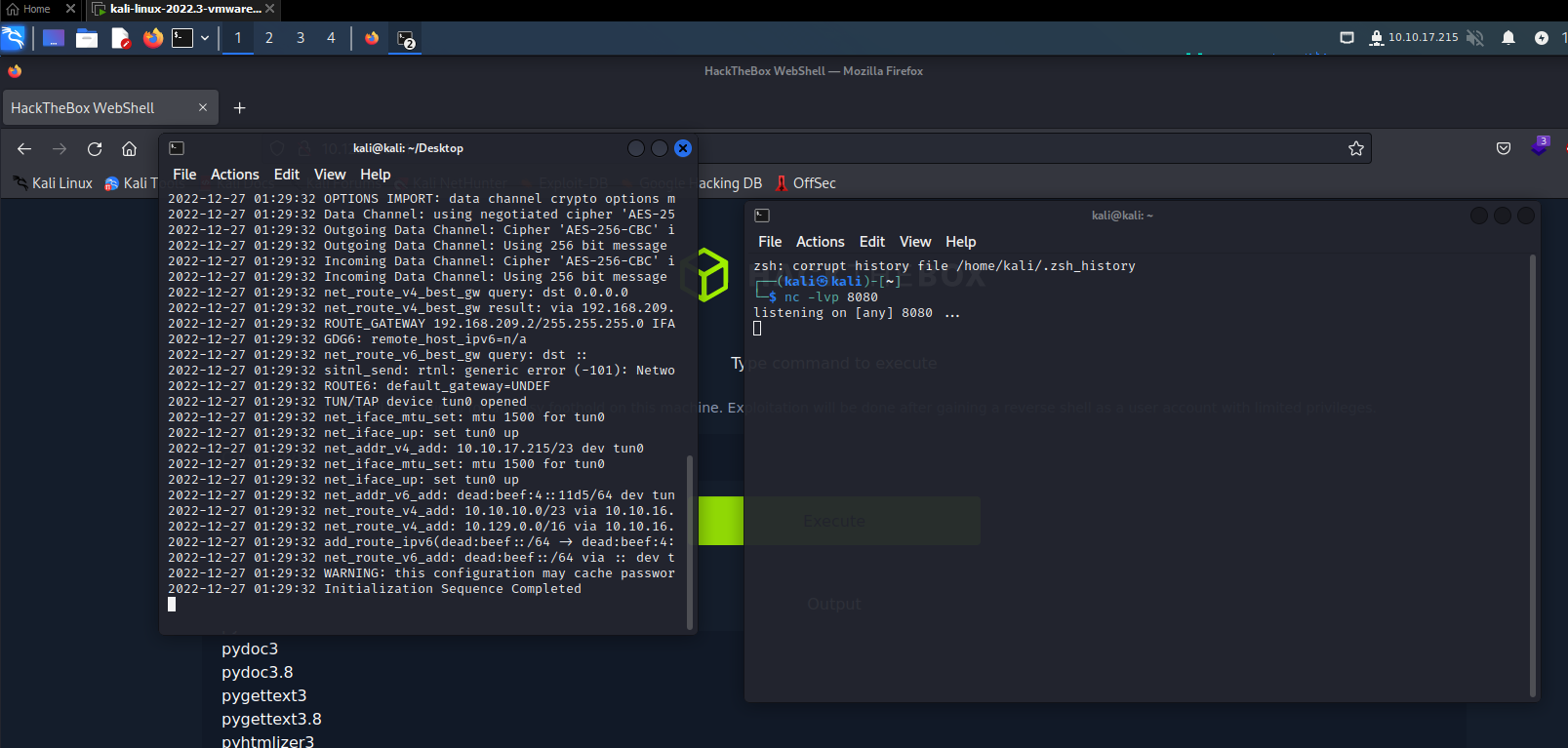 Picture of reverse shell waiting for response